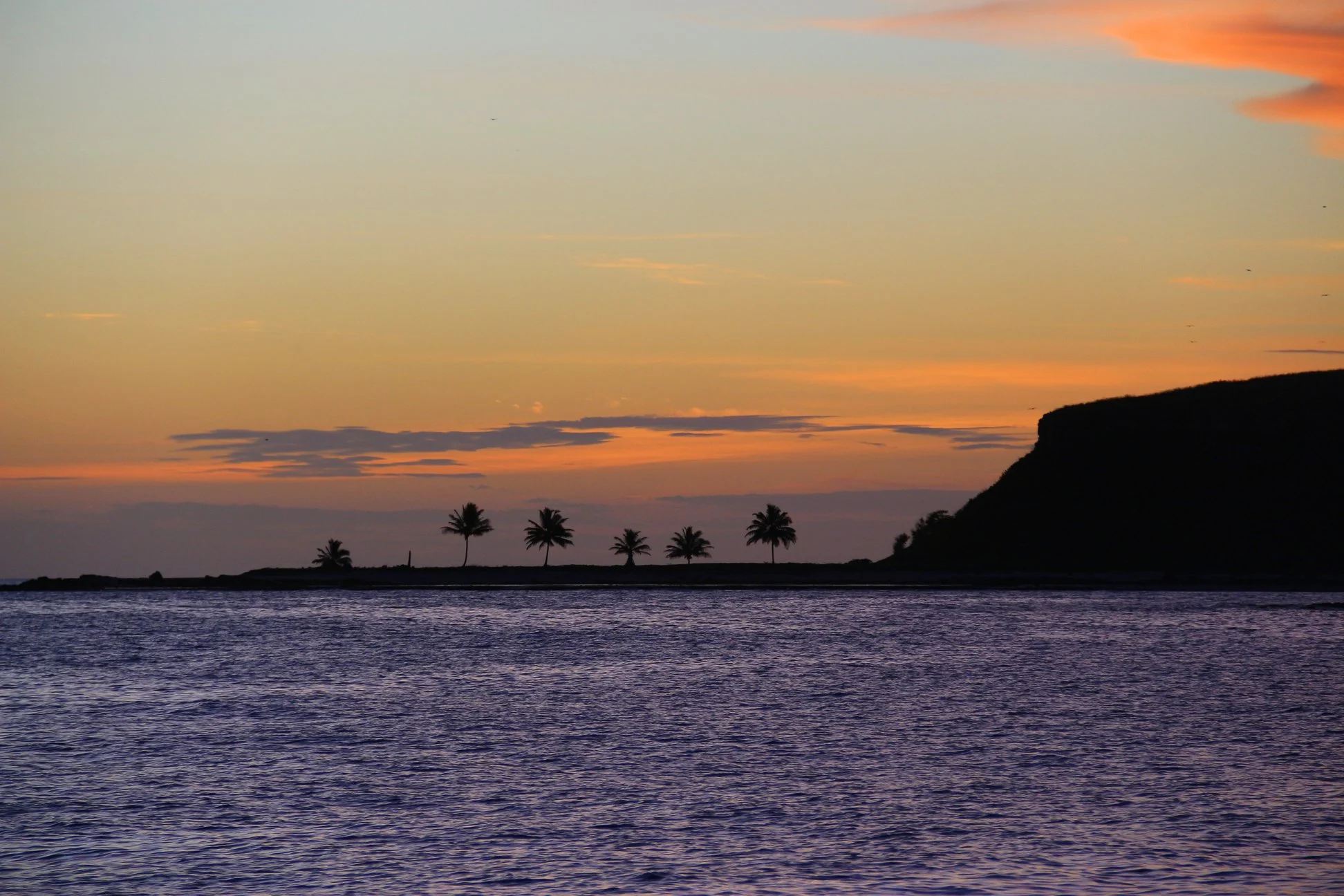 Foto do album Abrolhos